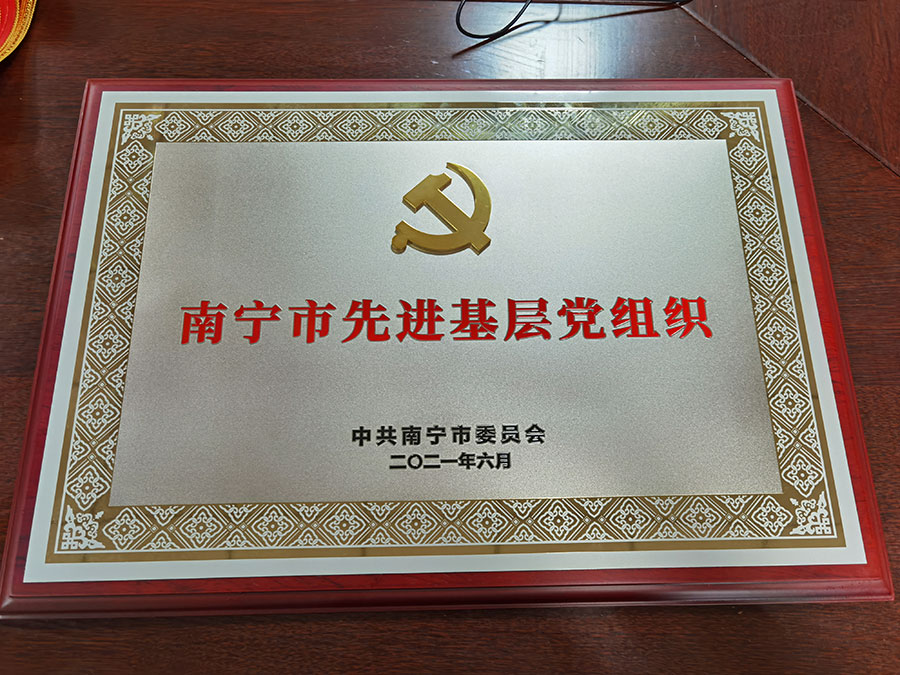 图为羊山村党总支部荣获“南宁市先进基层党组织”称号(1).jpg