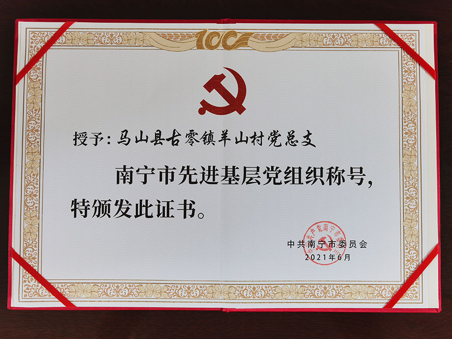 图为羊山村党总支部荣获“南宁市先进基层党组织”称号-(2).jpg